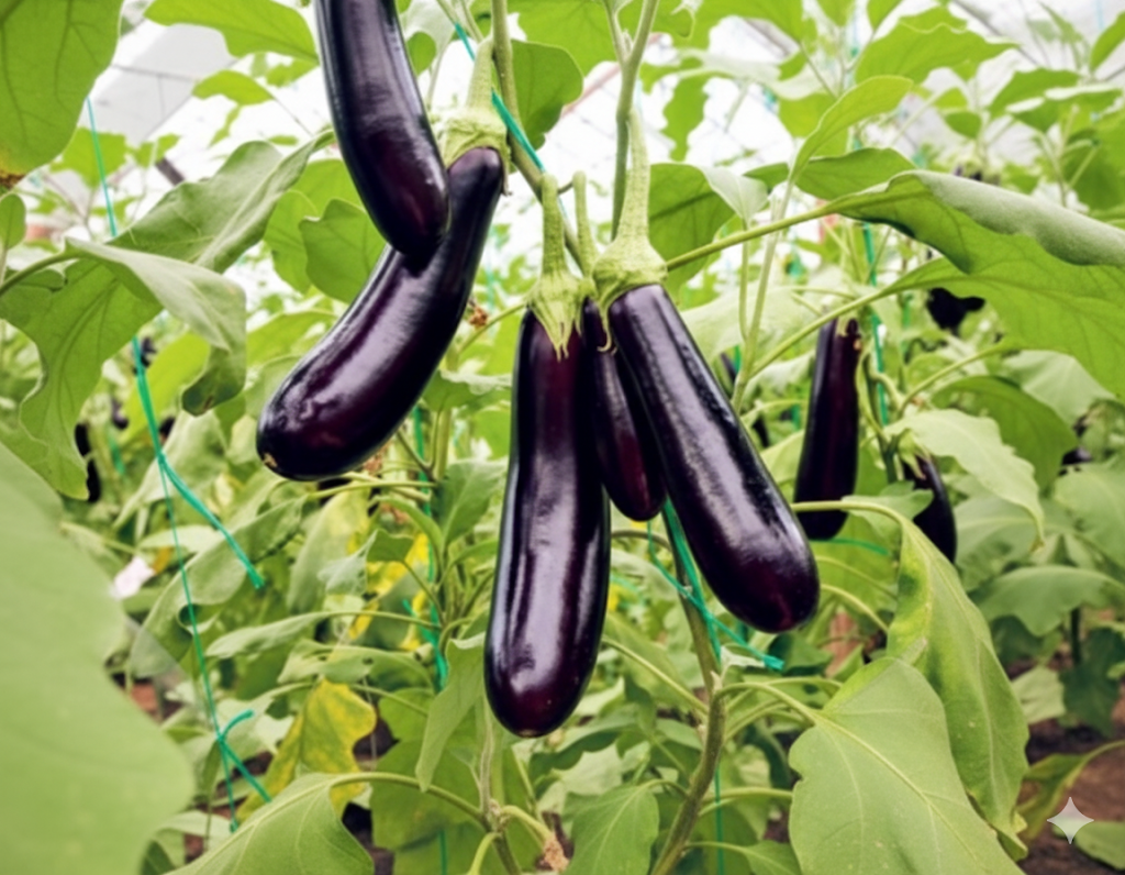 가지튀김 레시피: 겉바속촉 가지튀김 만드는 법 (황금 레시피)